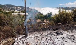 Alanya’da korkutan bahçe yangını