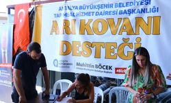 Antalya Büyükşehir'den üreticilere kovan desteği