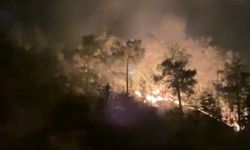 Gazipaşa’daki orman yangınında 3 dönüm alan zarar gördü