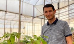 Alanya'da Avokado Paketleme Tesisi kazandırılıyor