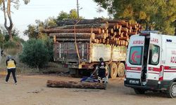 Başına tomruk düşen adam hayatını kaybetti