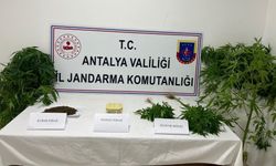 Jandarma uyuşturucu tacirlerine göz açtırmıyor