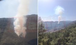 Alanya'daki orman yangınına müdahale sürüyor