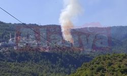 Alanya'da orman yangını çıktı 