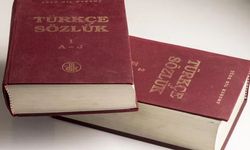TDK yeni sözlük yayınladı | Birçok kelime değişti!