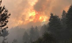Akseki orman yangınına müdahale devam ediyor