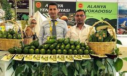 Tahir Göktepe’den tüm avokado üreticilerine davet