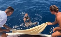 Alanya'da caretta carettayı tur teknesinin kaptanı kurtardı