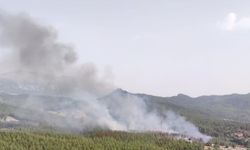 Manavgat’taki orman yangını kontrol altına alındı