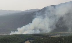 Manavgat'ta orman yangını! Havadan ve karadan müdahale ediliyor
