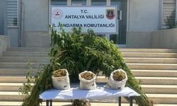 Yurt dışından getirilen uyuşturucuya jandarma operasyonu