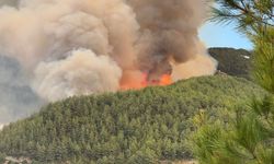 Alanya’da orman yangını sürüyor, 17  ev boşaltıldı