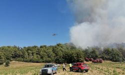 Manavgat’taki orman yangınında 1 hektar alan zarar gördü