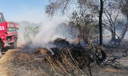 Sazlık yangınına havadan ve karadan hızlı müdahale