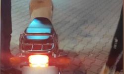Alanya'nın komşusunda 23 motosiklete cezai işlem uygulandı