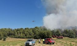 Manavgat’ta orman yangınına havadan karadan müdahale ediliyor