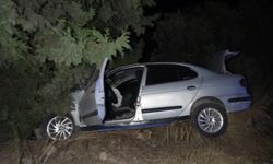 Alanya yolunda otomobil ağaca çarptı!