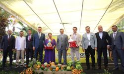‘2. Alanya Tropikal Meyve Festivali’ne yoğun ilgi