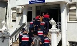Avokado hırsızları jandarmadan kaçamadı!