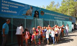Alanya Belediyesi Hayvanları Koruma Günü'nde can dostları unutmadı