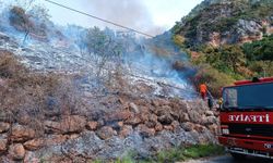 Alanya’da çıkan yangında 2,5 dönüm alan zarar gördü