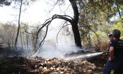 Ormanlık alandaki yangın büyümeden söndürüldü