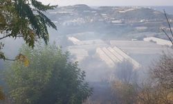 Alanya'da çıkan otluk yangını korkuttu!