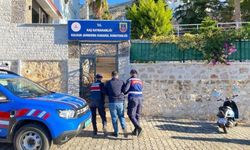 Annenin feryadı, organize suç örgütünü çökertti
