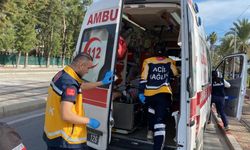Gezmek için dışarı çıktı, otomobilin çarpmasıyla yaralandı