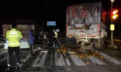 Alanya yolu mandalina bahçesine dündü