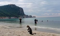 Alanya’da 2024’ün ilk gününde denizin tadını çıkardılar