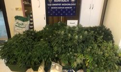 Kaldığı evi uyuşturucu serasına çevirdi