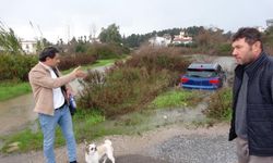 Havlayan köpeği dikkatini dağıtınca şarampole uçtu