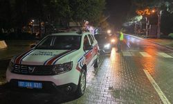 Alanya’da yılın ilk günü jandarmadan ceza yağdı