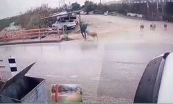 Karşıya geçmek isterken öyle bir şey oldu ki! Adam neye uğradığına şaşırdı