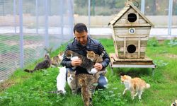 Büyükşehir 2023 yılında 321 sokak hayvanını sahiplendirdi