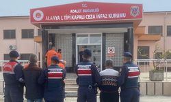 Alanya’da avokado hırsızları jandarma operasyonuyla yakalandı
