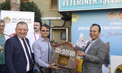 Alanya Belediyesi sokak hayvanlarını unutmadı