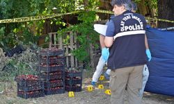 Kan donduran cinayet: Çilek satıcısına kurşun yağdırdı