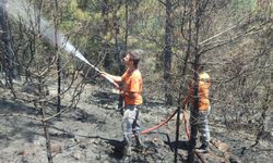 Alanya'nın komşusunda çıkan orman yangını ekipleri alarma geçirdi