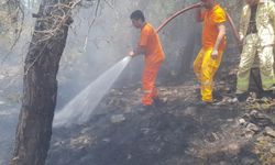 Alanya’daki orman yangını büyümeden kontrol altına alındı