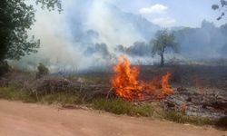 Ormanlık alanda çıkan yangın korkuttu