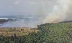 Aksu'da orman yangını başladı!