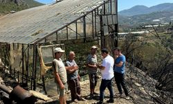 Alanya’da çıkan yangında 3 sera zarar gördü