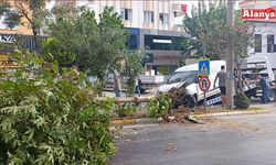 Alanya’da hafif ticari araç ağaca çarptı: 2 yaralı