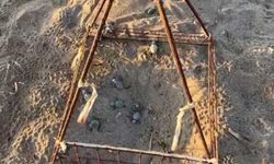 Alanya’da yavru carettalar yumurtalardan çıkıp denizle buluştu