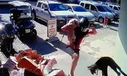 Alanya’da köpeğiyle kavga eden kediyi tekmeyle metrelerce havaya fırlattı