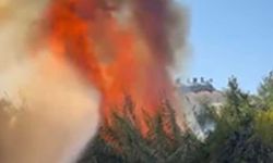 Alanya'da otluk alanda çıkan yangın seralara sıçradı