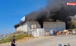 Alanya'da serada çıkan yangın depoya sıçradı