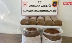 Gazipaşa'da kaçak tütün ele geçirildi